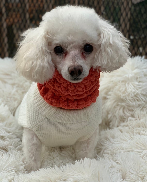 Dog Scarf Cowl Dachshund Labrador Golden Retriever Labradoodle