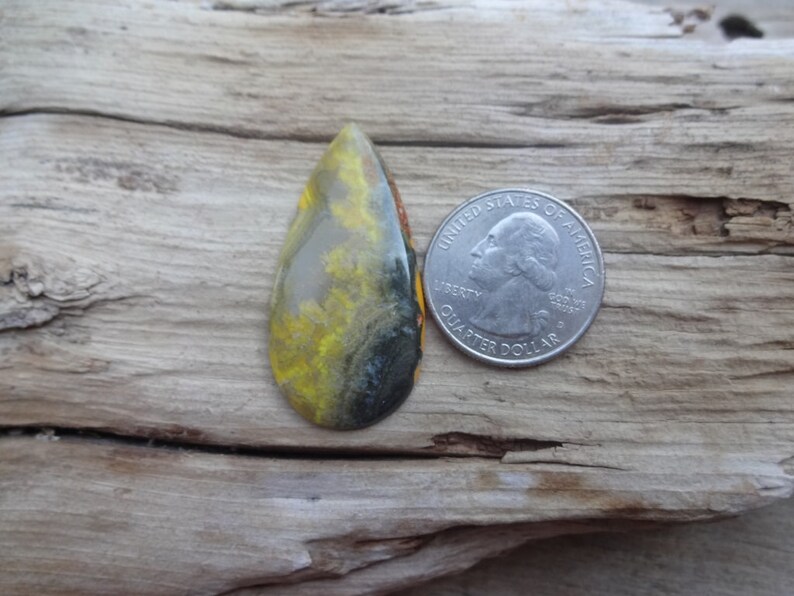 Bumble Bee Jasper cabochon 42x22mm