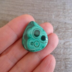 K&ouml;nnte beinhalten: Ein gr&uuml;ner Malachit-Cabochon mit einem einzigartigen kreisf&ouml;rmigen Muster. Der Stein hat eine Tropfenform und eine glatte, polierte Oberfl&auml;che.