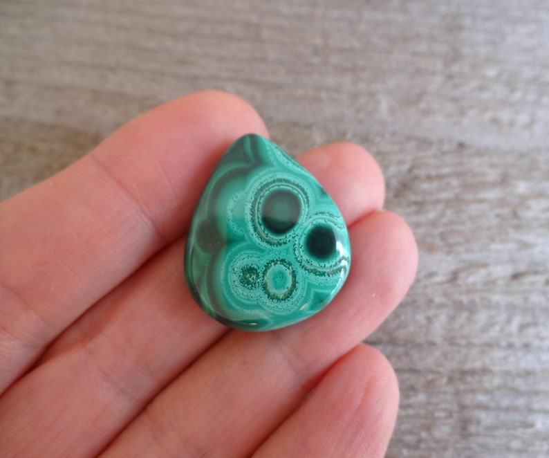 K&ouml;nnte beinhalten: Ein gr&uuml;ner Malachit-Cabochon mit einem einzigartigen kreisf&ouml;rmigen Muster. Der Stein hat eine Tropfenform und eine glatte, polierte Oberfl&auml;che.