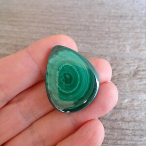 K&ouml;nnte beinhalten: Ein gr&uuml;ner Malachit-Cabochon mit einem wirbelnden Muster. Der Cabochon ist tropfenf&ouml;rmig und hat eine glatte, polierte Oberfl&auml;che.