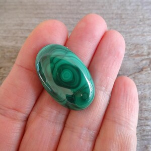 K&ouml;nnte beinhalten: Ein gr&uuml;ner Malachit-Cabochon mit einem wirbelnden Muster. Der Stein ist oval geformt und hat eine glatte, polierte Oberfl&auml;che.