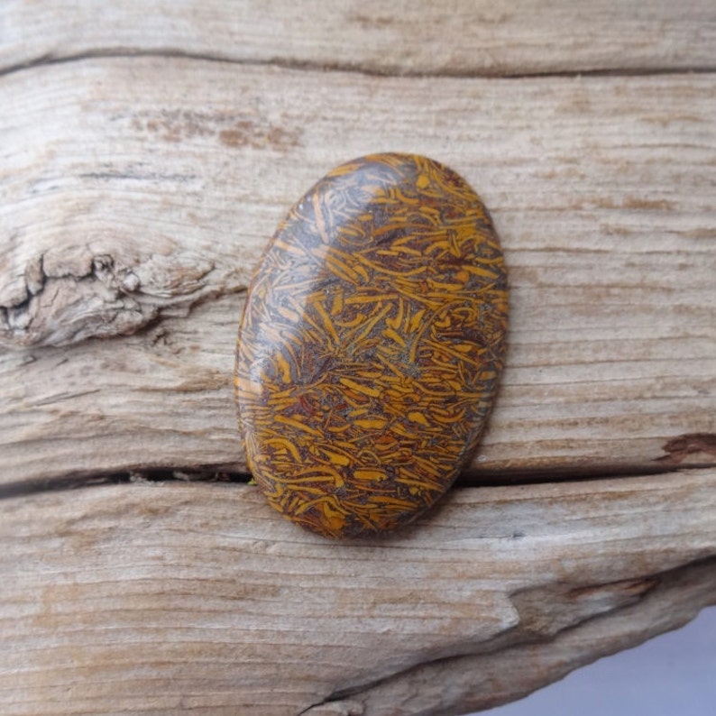 Mariam Fossil Jasper cabochon 41x27mm Coquina Cockleshell Shellfish