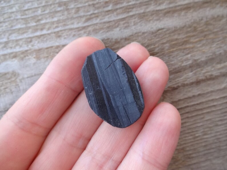 May include: A black, oval-shaped, striated stone with a rough texture.
