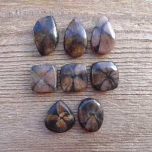 May include: Eight gemstone cabochons in various shapes and sizes, including teardrop and square. The stones are a mix of brown, black, and pink with a star-like pattern.