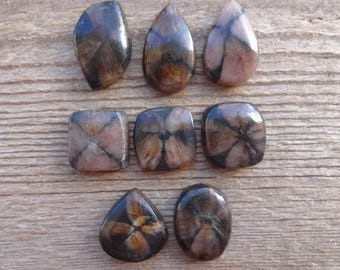 Chiastolit ringstorlek cabochon, naturlig korssten cabochon för smyckestillverkning, andalusit cabochon