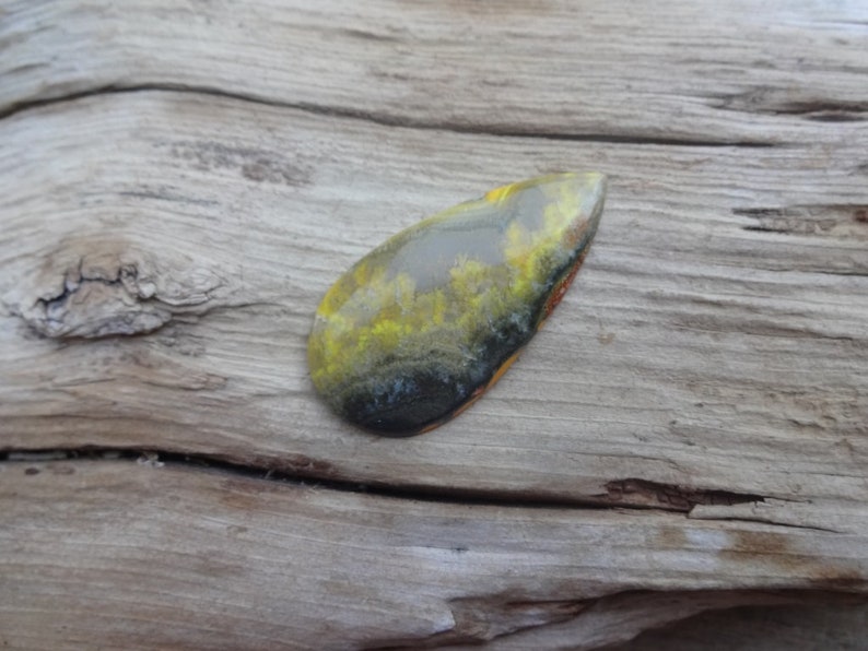 Bumble Bee Jasper cabochon 42x22mm