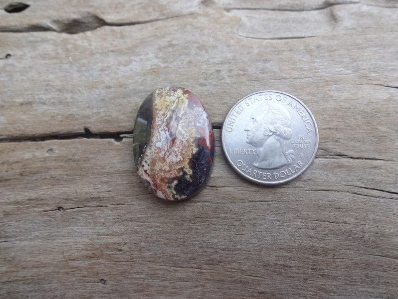 Crazy Lace Agate oval cabochon 29x20mm