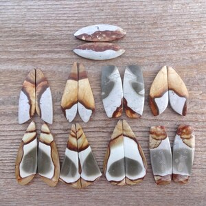 May include: An assortment of polished, natural stone cabochons in various shapes. The stones display a mix of colors including beige, brown, gray, and white, with unique patterns. The cabochons are arranged on a wooden surface.