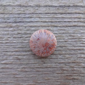 Pode incluir: Uma pedra redonda, castanho-avermelhada, com um padr&atilde;o &uacute;nico de linhas e manchas. A pedra est&aacute; sobre uma superf&iacute;cie de madeira cinza e envelhecida. O di&acirc;metro da pedra &eacute; de aproximadamente 2,5 cm.