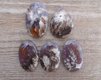 Indonesian Plume Agate cabochon