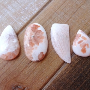 May include: Four cabochon cut, polished, natural, pink and white fossilized coral stones. The stones are various shapes and sizes.