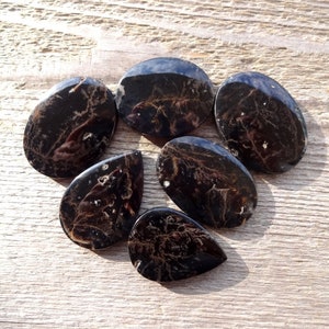 Rare Indonesian Black Tiger Dendritic Agate cabochon