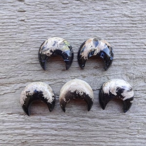 Fossilized Palm Root Crescent Moon cabochon 25x22mm, gemstone Moon cabochon pendant, NO HOLES, Petrified Wood cabochon for jewelry making