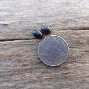 May include: Two black oval-shaped gemstones, each about the size of a UK 20 pence coin.