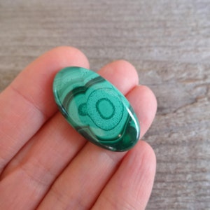 K&ouml;nnte beinhalten: Ein ovaler Malachit-Cabochon in Gr&uuml;n mit einem wirbelnden Muster. Der Stein hat eine dunkelgr&uuml;ne Mitte mit helleren gr&uuml;nen Ringen darum herum.