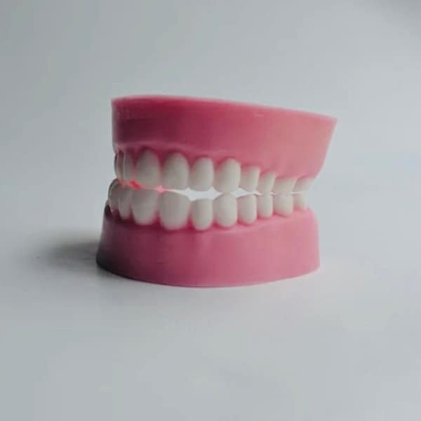 TEETH Soap | Halloween | Funny | Dentures | Dentist | Dental School | Dental Hygenist | Novelty | Party Favors