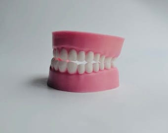 Teeth Soap | Halloween | Funny | Dentures | Dentist | Dental School | Dental Hygenist | Novelty | Party Favors