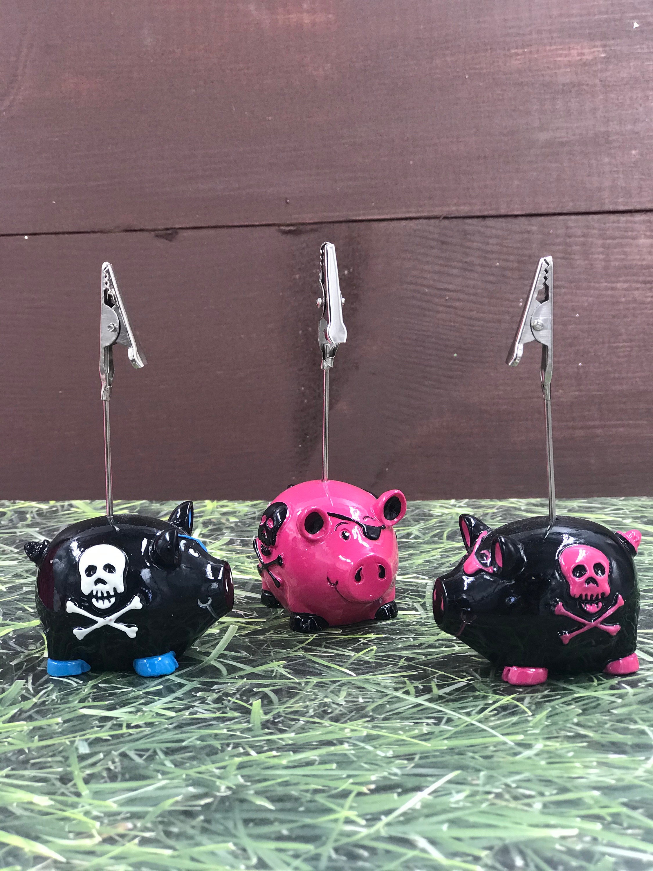 Pirate Pig ticket holder