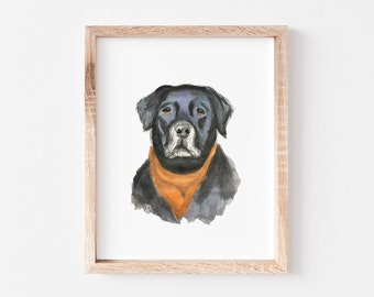 Black Lab - fine art print