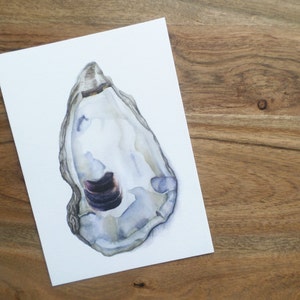 May include: A watercolor painting of an oyster shell with a purple and white interior. The shell is painted in a realistic style and has a light gray background.
