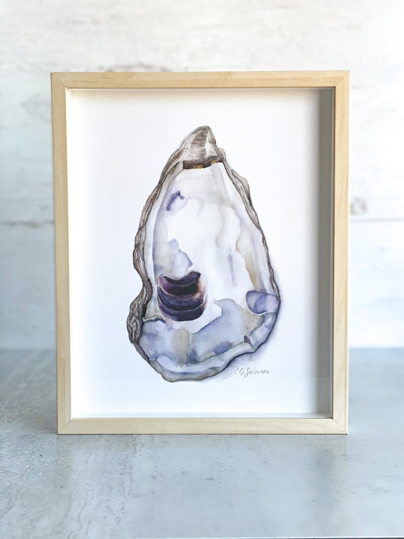 May include: A framed watercolor painting of a single oyster shell with a purple and blue interior. The shell is painted in a realistic style with subtle shading and texture. The artist's signature, "G. Saucier", is visible in the lower right corner.