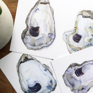 May include: Four watercolor paintings of oyster shells with a purple interior. The shells are painted in shades of gray, blue, and white.
