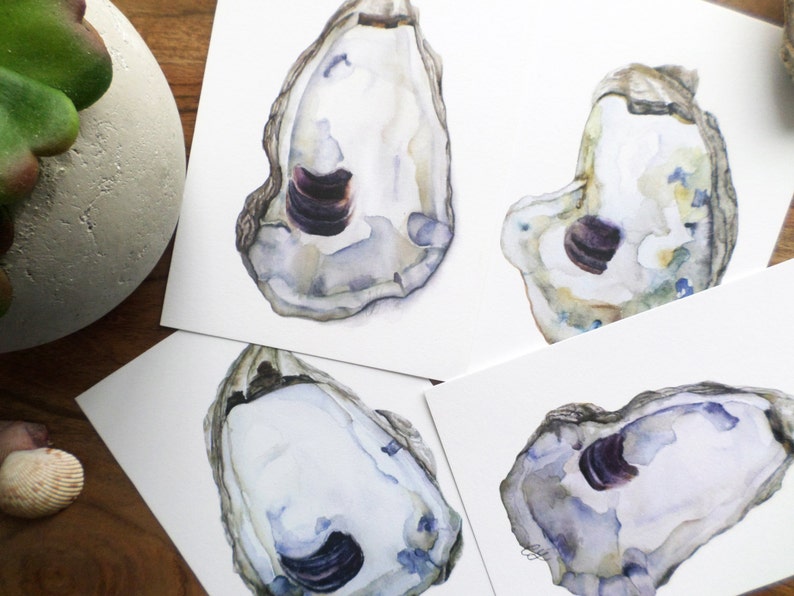 May include: Four watercolor paintings of oyster shells with a purple interior. The shells are painted in shades of gray, blue, and white.