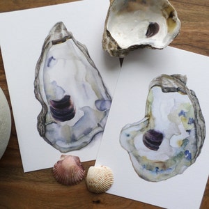 May include: Two watercolor paintings of oyster shells. The shells are open and show the inside of the oyster. The oysters are painted in shades of blue, green, and purple.