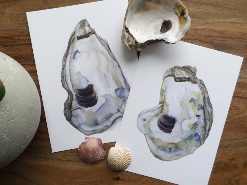 May include: Two watercolor paintings of oyster shells. The shells are open and show the inside of the oyster. The oysters are painted in shades of blue, green, and purple.