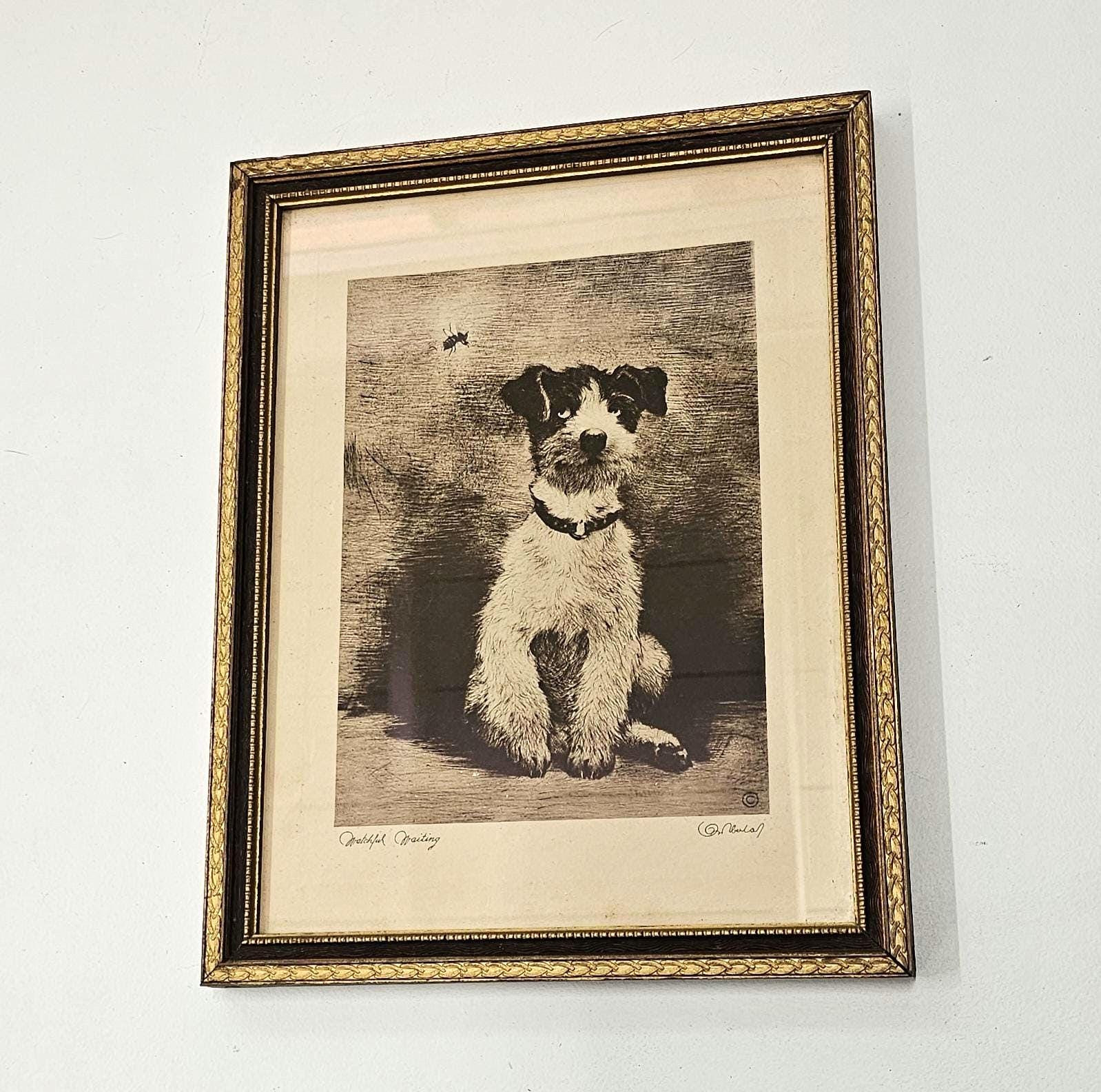 『2匹のテリア犬』ヴィンテージ銅版画 Kurt Meyer Eberhardt Lot - Curt Meyer-Eberhardt (German 1895 - 1977): Two Terriers