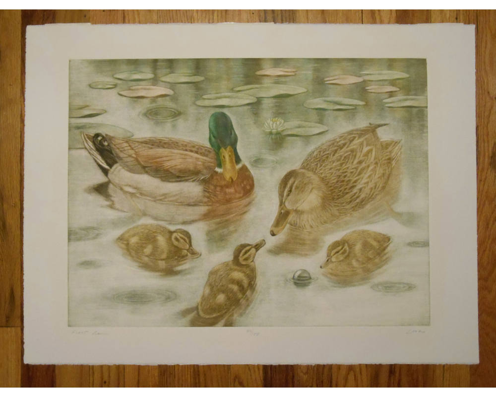 Vintage Color Mezzotint of Duck and Duckling by Geoffrey Lasko