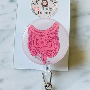Colonoscopy ID Reel/Colon Badge Reel/Intestine Badge Reel