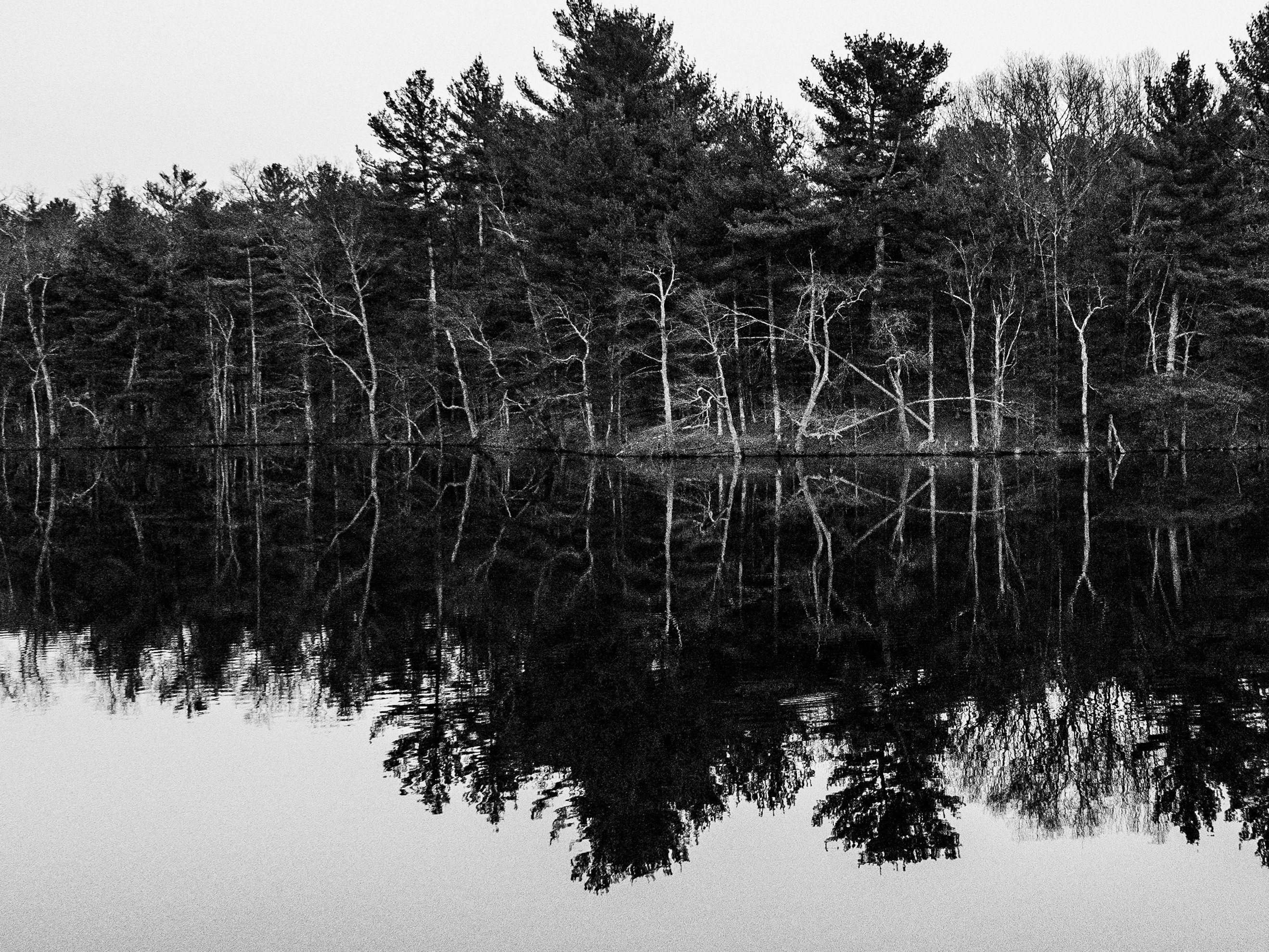 Black and white lake with trees | Etsy