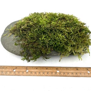 May include: A set of three ceramic mugs with a speckled, matte finish. The mugs are in shades of cream, light gray, and dark gray. Each mug has a simple, minimalist design, perfect for coffee or tea.