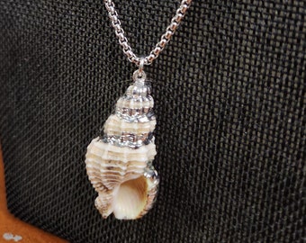 Silver-Plated Seashell Pendant - Stainless Steel Chain Necklace