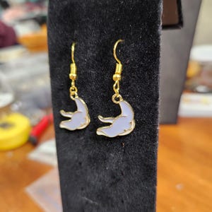 Manta Rays