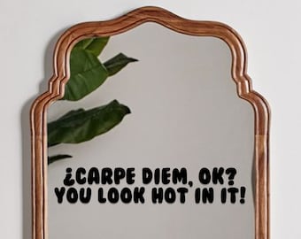 Clueless Cher Horowitz Alicia Silverstone &quot;Carpe Diem You Look Hot In It&quot; Movie Quote Vinyl Window Decal Sticker Art Poster 90s Girl Fashion