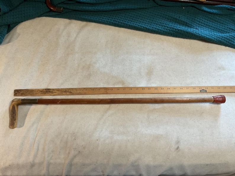 Cane Ruler Vintage Antler Handled Cane - Etsy
