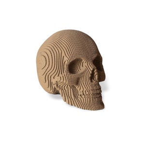 Small Size Human Skull Cardboard Sculpture, DIY 3D Papercraft kit, 3D paper art，Home Decor, Corrugated board ,DIY Gift