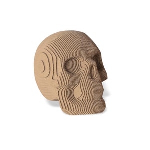 Sculpture en carton humain de crâne de modèle de petite taille, kit de papercraft 3D de boule de dragon de DIY, art 3D de papier, décor à la maison, planche ondulée, cadeau de DIY