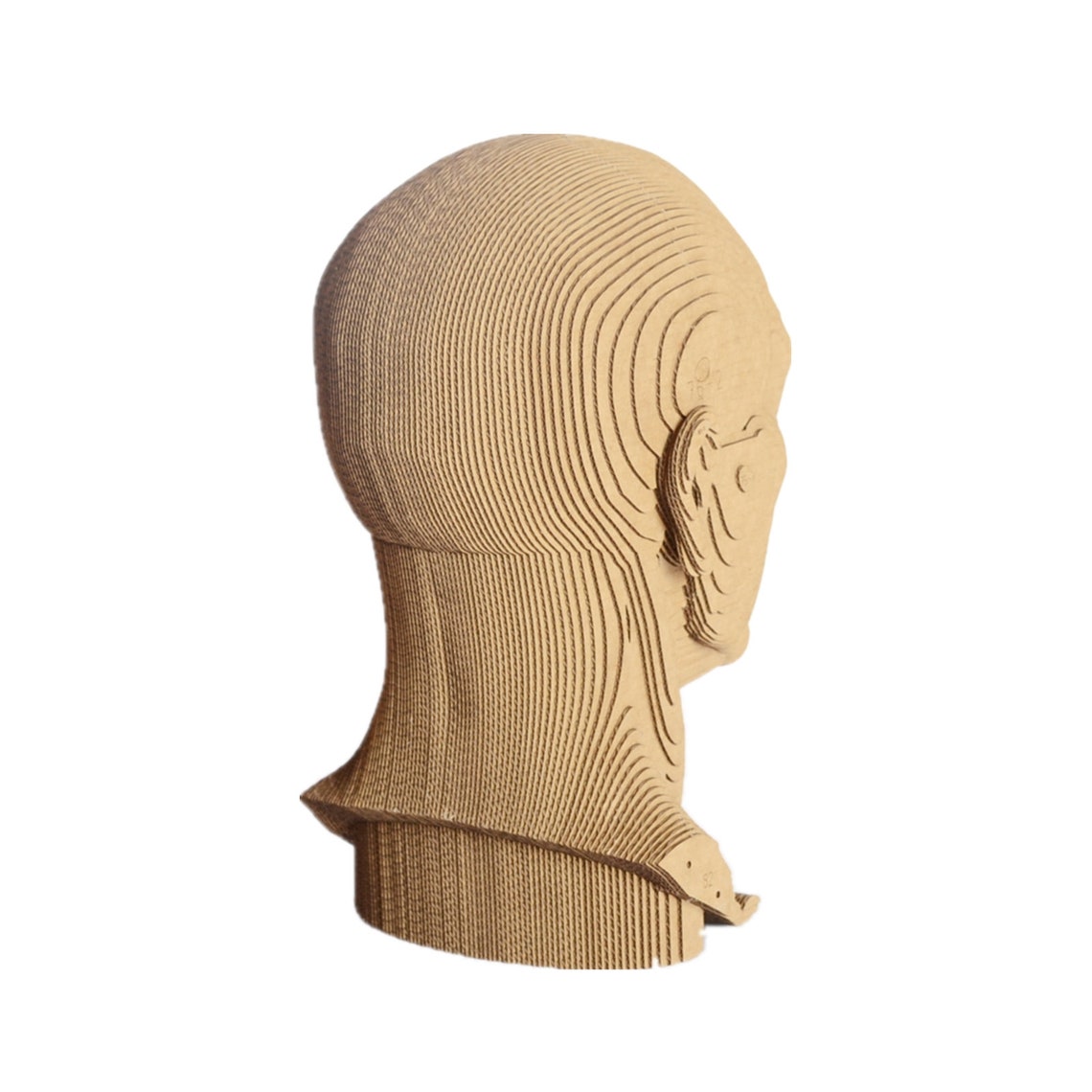 Human Head DIY Cardboard Culpture DIY Papercraft 3D Paper Etsy
