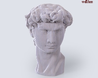 Michelangelo&#39;s David Head    - DIY Cardboard Craft