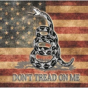 Don’t tread on me flag