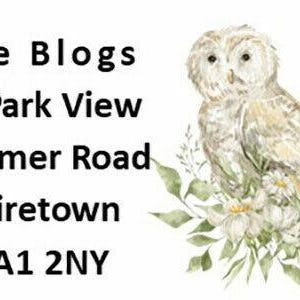 May include: A white owl with brown markings sits on a branch with white flowers and green leaves. The text "Joe Blogs, 21 Park View, Summer Road, Shiretown, AA1 2NY" is printed below the owl.