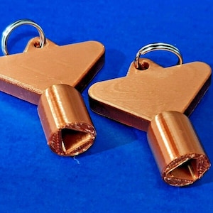 2 x Gas Electric Meter Box Utility Key Cupboard Copper PLA Plastic Biodegradable
