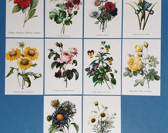 Set of 10 NEW Flowers Postcards (set 1) for Postcrossing & Postcardsofkindness