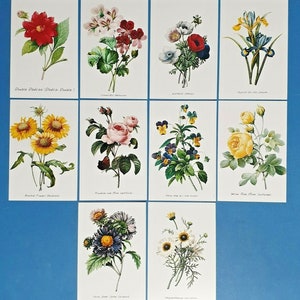 50 NEW Flowers (Set 1) Postcards 10 designs Postcrossing Postcardsofkindness