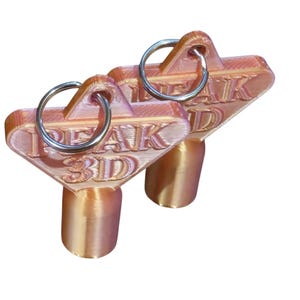 Op de afbeelding: Twee koperkleurige, 3D-geprinte sleutelvormige objecten met een driehoekige kop en een cilindrische basis. Elke kop is voorzien van de in reliëf aangebrachte tekst PEAK 3D en een zilverkleurige metalen ring door een gat aan de top.