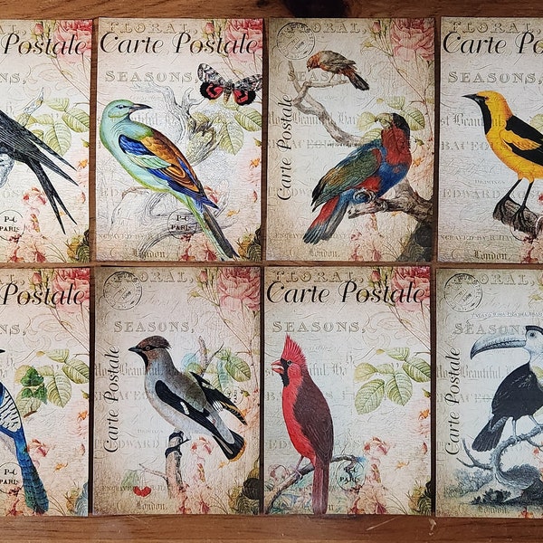 Set of 12 NEW French Vintage Style Birds Postcards Postcrossing Carte Postale